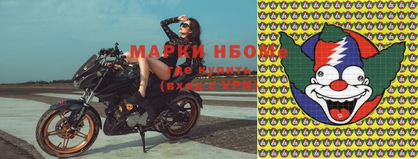 мяу мяу мука Баксан