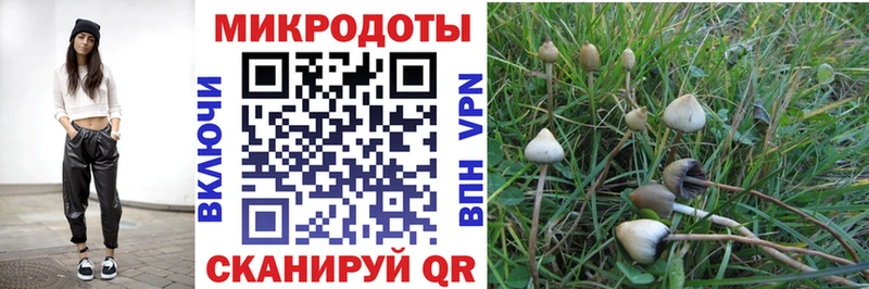 Галлюциногенные грибы мухоморы Грязовец