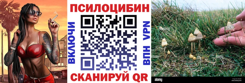площадка телеграм  Грязовец  Галлюциногенные грибы мухоморы  kraken как зайти 