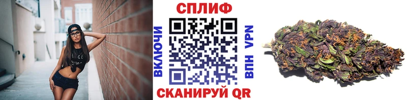 даркнет сайт Грязовец mega как войти Шишки марихуана White Widow